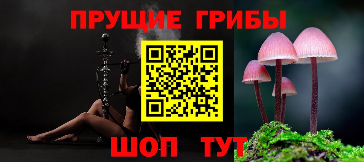 Галлюциногенные грибы мицелий Большой Камень